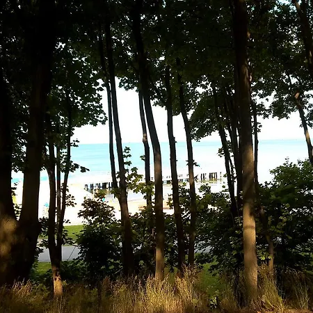 Atelier Aleksandry *