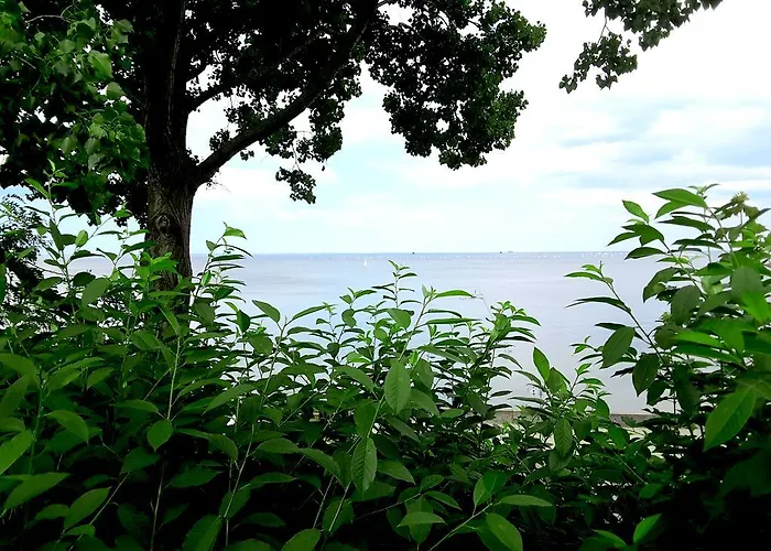 アパート Atelier Aleksandry